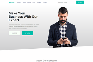 Echo - Multipurpose HTML Template