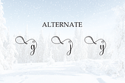 Snowy | Script Font, a Handwritten Font by Scratchones (Thumbnail 8 of 9)