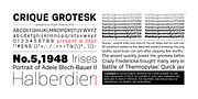 Crique Grotesk, a Sans Serif Font by Stawix (Thumbnail 3 of 8)