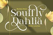 Dalnite - Modern Luxury Font, a Serif Font by RagamKata (Thumbnail 2 of 11)