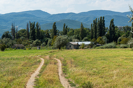 Road in the meadow in Georgian area Kartli, a Nature Photo by Anna Bogush