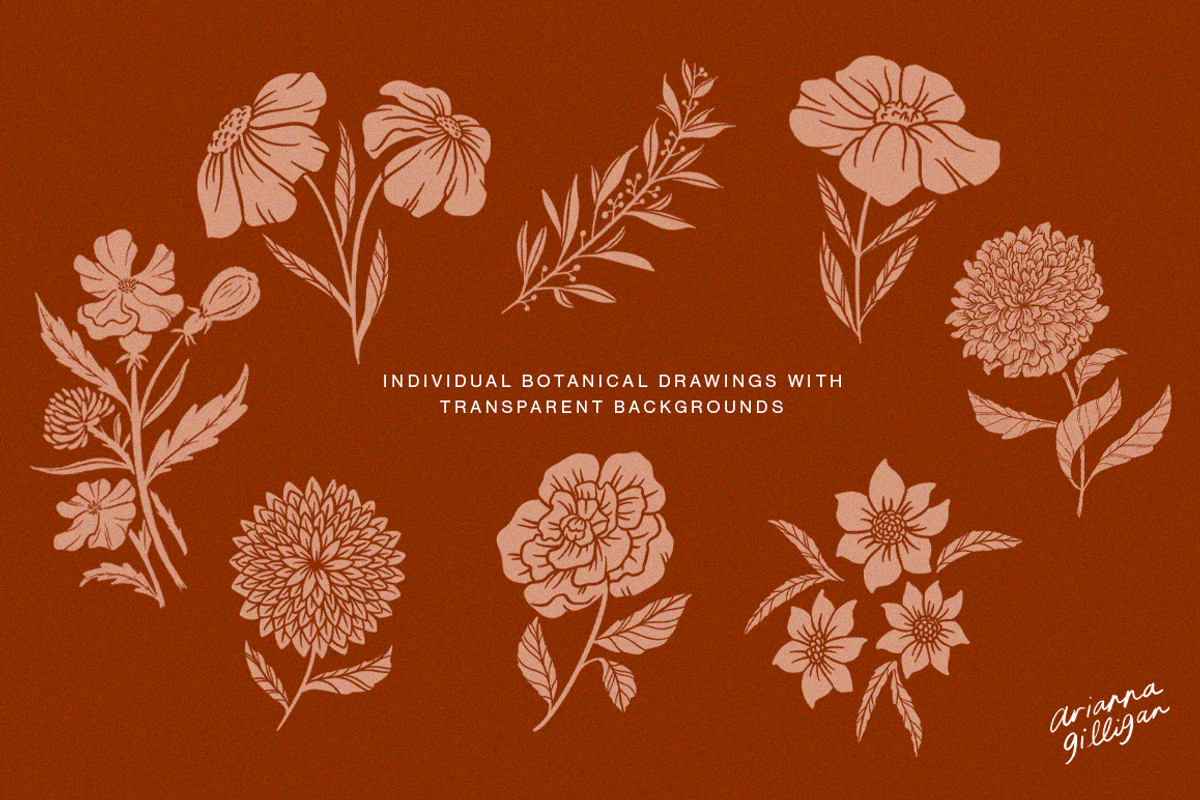 Hand-Drawn Floral Pack, an Illustration by Drawn By Arianna (Photo 2 of 6)