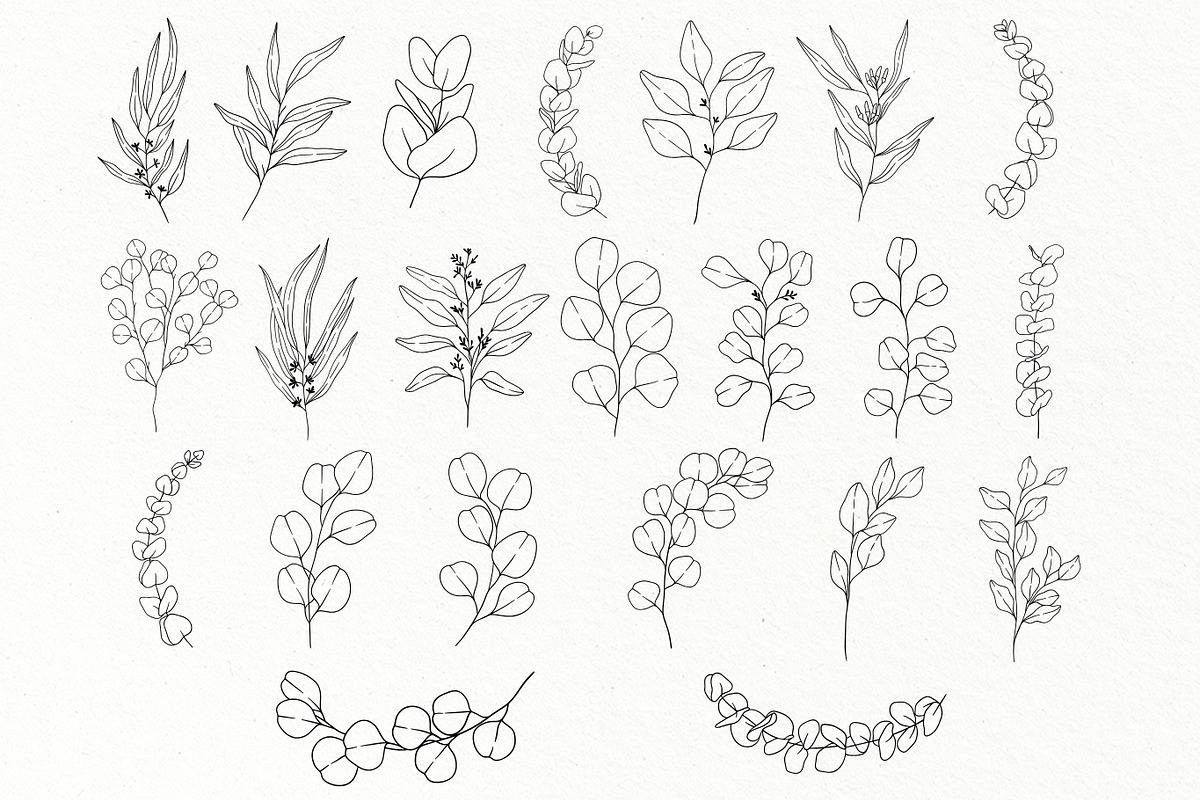 Eucalyptus Line Art Graphics, a Decorative Illustration by DENIDigitalArtSudio (Photo 4 of 5)