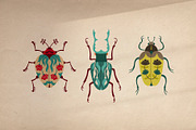 Folk art insects. Beetles collection, a Decorative Illustration by Neliakott ♥ (Thumbnail 6 of 10)
