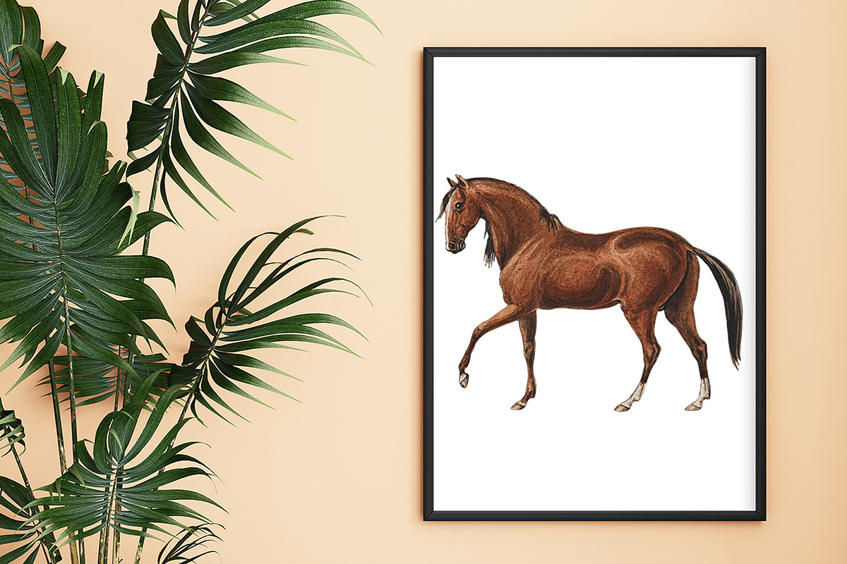 Horses Clipart, an Animal Illustration by Cool Worker (Photo 2 of 3)