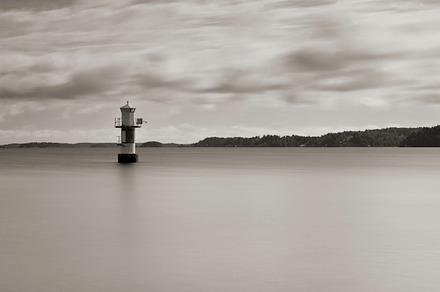 The Lonely Tree Containing Tree Horizon And Bw preview 6