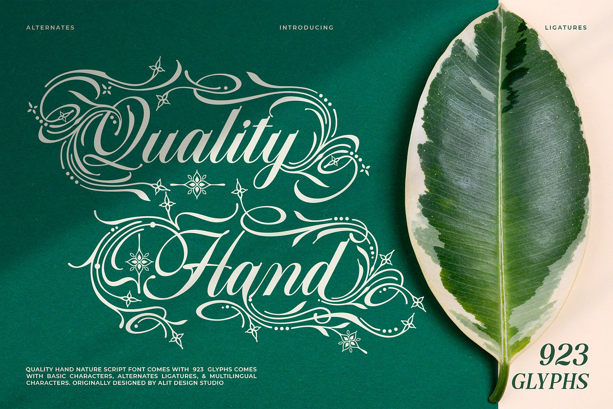 Quality Hand Typeface, a Script Font by alit design