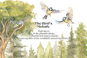 Woodland Bundle, an Animal Illustration by TheCuteShop (Thumbnail 3 of 12)