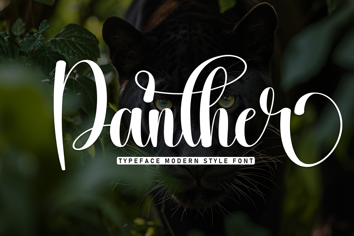 Panther | Script Font, a Handwritten Font by Scratchones (Photo 1 of 9)
