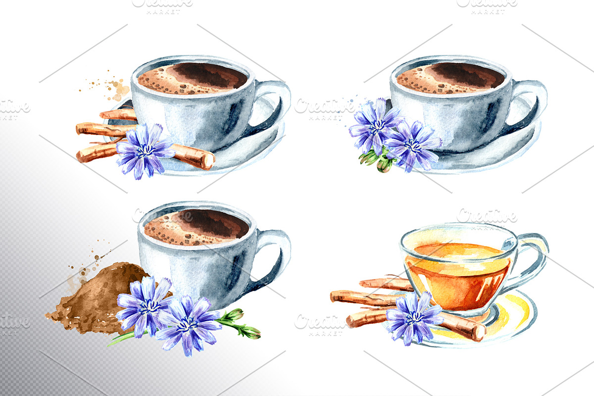 Chicory. Watercolor collection, a Food Illustration by Daria Ustiugova (Photo 6 of 9)