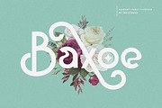 Baxoe | Elegant and Fancy Typeface, a Sans Serif Font by 160 Studio (Thumbnail 1 of 14)