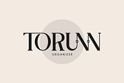 ERITO - Modern Ligature Typface, a Serif Font by AnnofaType (Thumbnail 3 of 8)