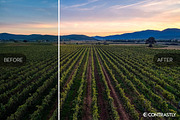 Summer Vibes Lightroom Presets, an Action Add-On by Contrastly Shop (Thumbnail 7 of 7)