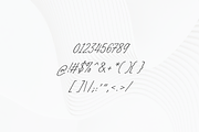Wilton - Handwriting Font, a Handwritten Font by Aantebas (Thumbnail 4 of 5)