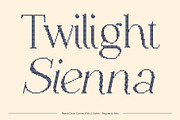 Raena Disco, a Serif Font by Craft Supply Co. (Thumbnail 4 of 8)