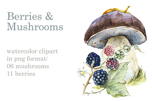 Berries & Mushrooms Clipart