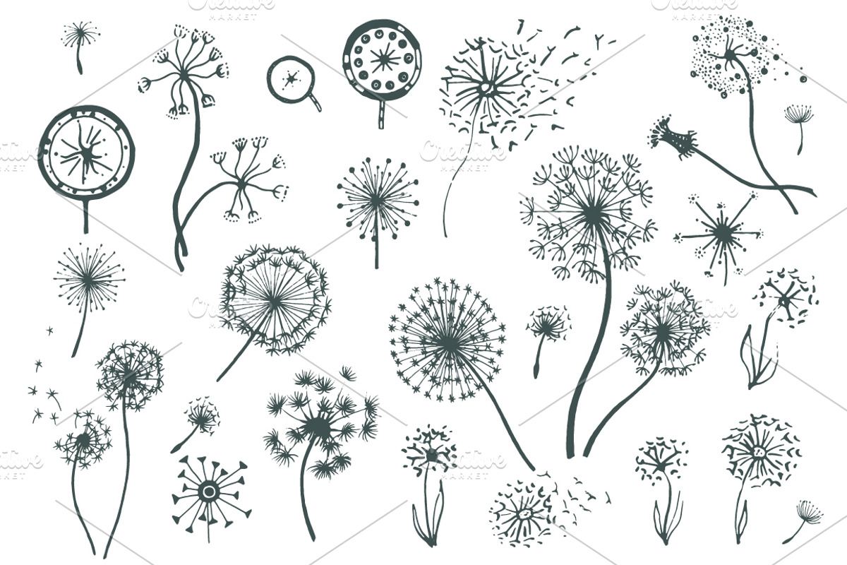 Set of dandelions, a Background Graphic by Artha Design Studio (Photo 1 of 2)