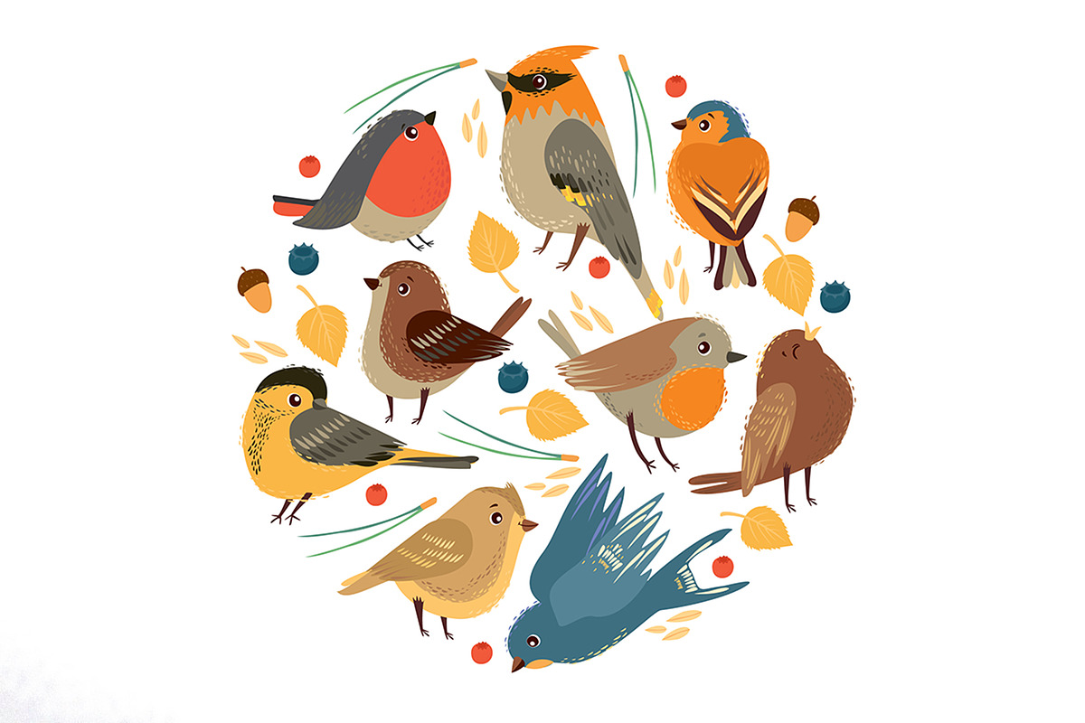Bird illustration. Vector set, an Animal Illustration by Lesya Skripak (Photo 2 of 3)