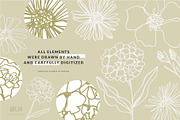 Elegant Botanicals | 100% Hand drawn, a Decorative Illustration by Olia (Thumbnail 9 of 14)