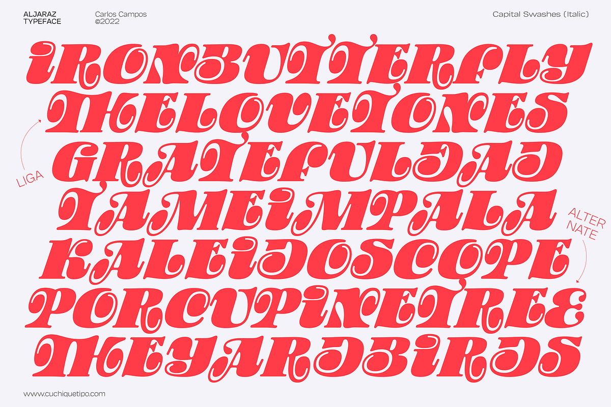 Aljaraz Font, a Serif Font by Cuchi, qué Tipo! Foundry (Photo 10 of 15)