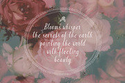 Mademoiselle Modern Rococo Font Duo, a Handwritten Font by AnMark (Thumbnail 6 of 14)
