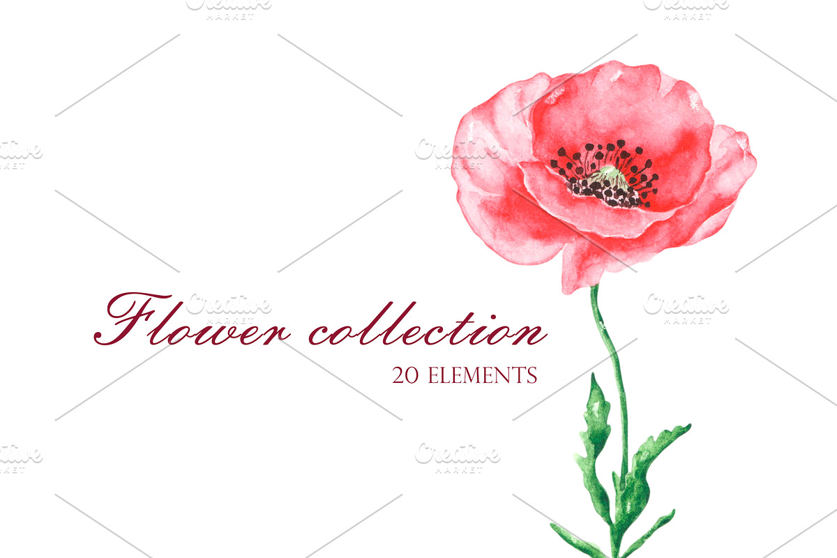 Blooming flowers watercolor clipart., an Illustration by SabinaWatercolorArt (Photo 8 of 8)
