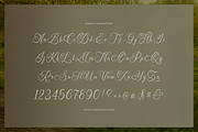 Narottewla | Beauty Callighraphy, a Script Font by Denustudios (Thumbnail 10 of 12)