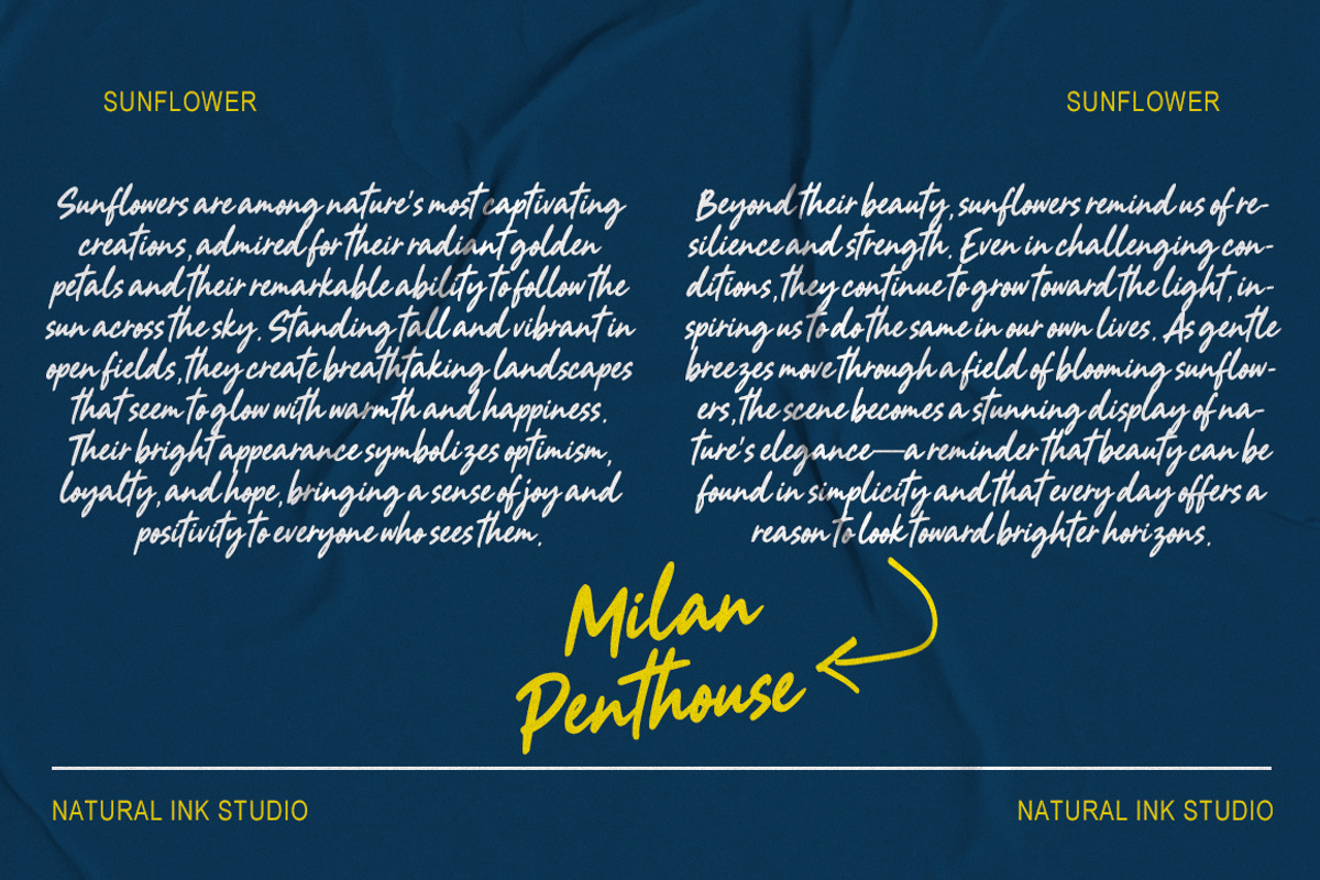 Milan Penthouse, a Handwritten Font by Natural Ink Studio (Photo 5 of 10)