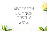 Lisandro Slab Serif Font, a Slab Serif Font by Creativetacos (Thumbnail 2 of 5)