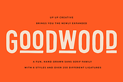 Goodwood Sans Serif Font Family, a Sans Serif Font by Up Up Creative (Thumbnail 1 of 16)