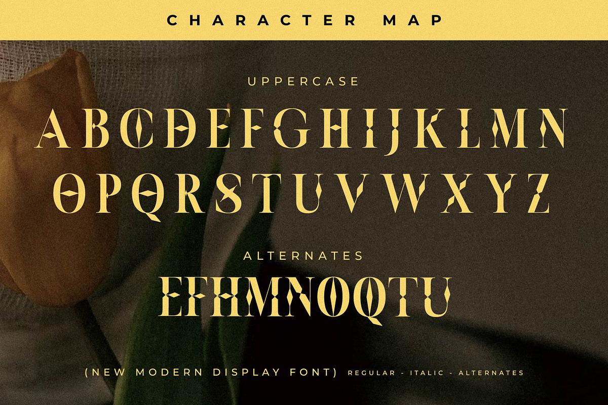 Moskice New Modern Display Font, a Serif Font by Storytype Studio (Photo 13 of 15)