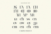 Qugalov Modern Serif Font, a Serif Font by Luna Shop (Thumbnail 2 of 7)