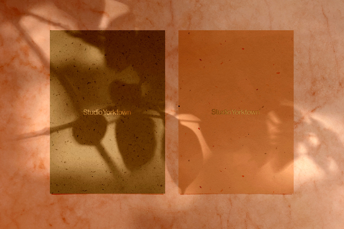Madara - Botanical Shadow Overlays, a Texture Graphic by Studio Yorktown (Photo 14 of 17)