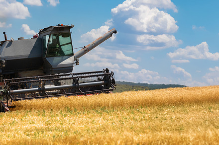 Agricultural combine harvesting golden wheat on a sunny day with, an Industrial Photo by Ales Munt