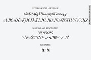 Rhapsody, a Script Font by Rotterlab Studio (Thumbnail 8 of 10)