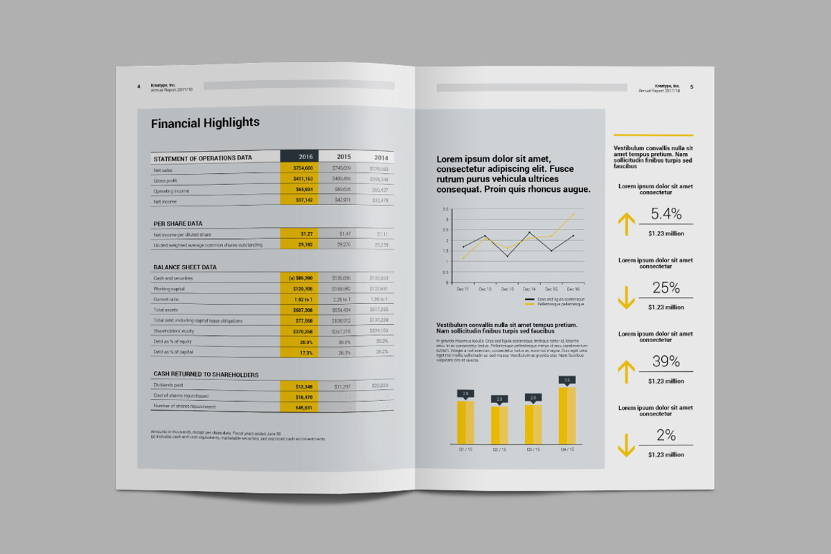 Kreatype Annual Report, a Brochure Template by Kreatype Studio (Photo 4 of 14)