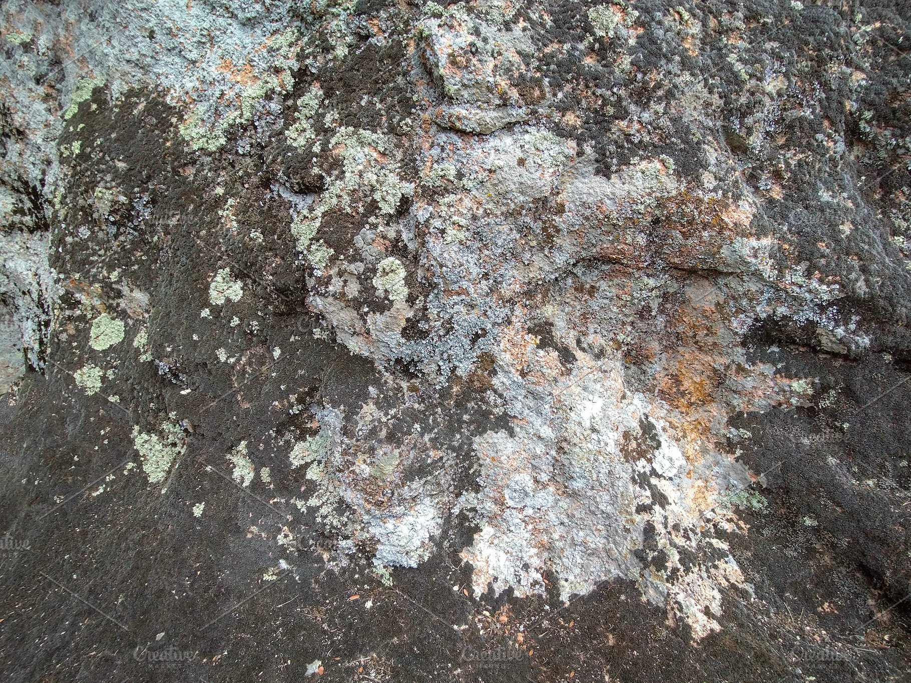 Textured rock surface with weathered patterns, an Abstract Photo by DanFLCreativo