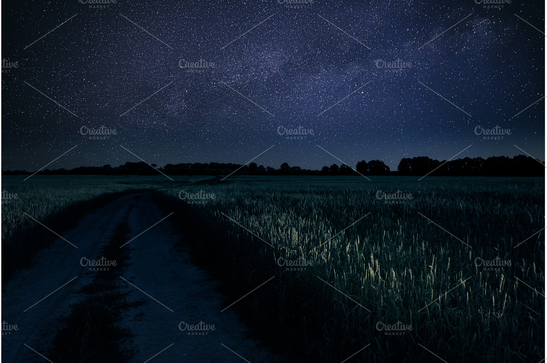 Serene Night Sky Over Green Fields, a Nature Photo by Our Amazing World