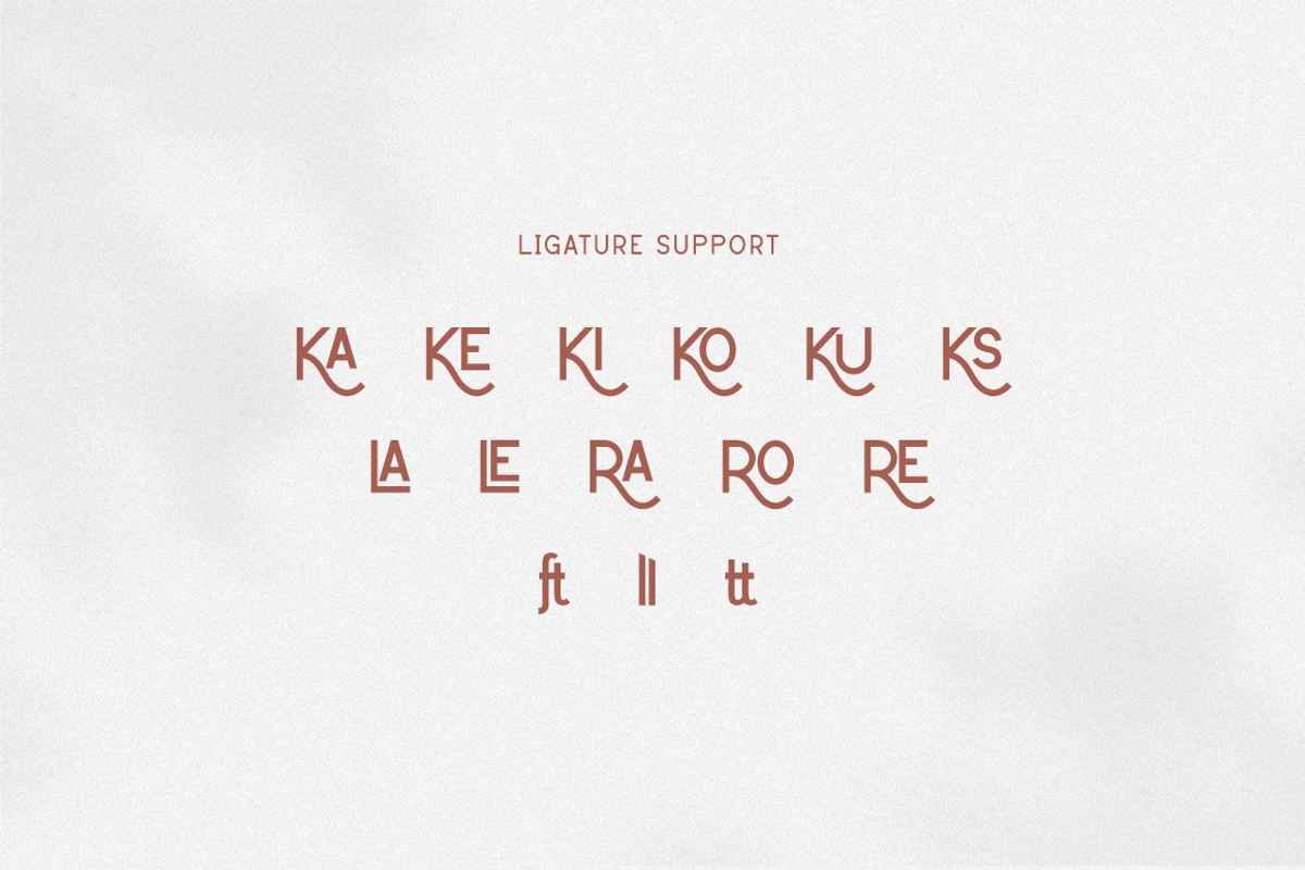 Christine - Advertisement Font, a Sans Serif Font by RockboyStd (Photo 9 of 12)