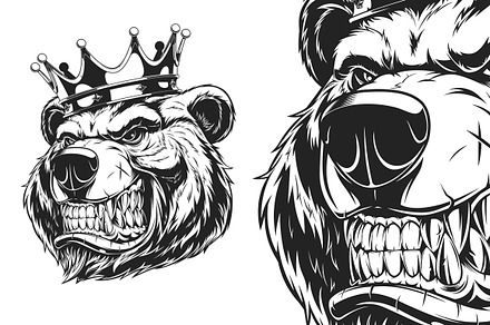Head of a ferocious bear, an Animal Illustration by Mark2000