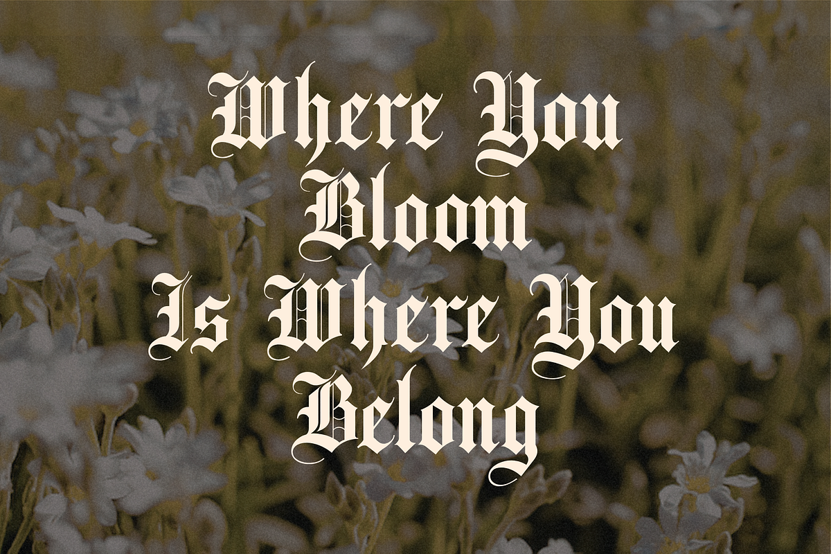 Thornville — Blackletter Display, a Blackletter Font by Creacy Studio (Photo 3 of 10)