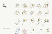 Garden Ivory Botanical Set, a Decorative Illustration by Karma (Thumbnail 19 of 20)
