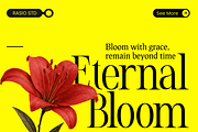 Evoire Modern Editorial Serif Font, a Serif Font by Rasio Studio (Thumbnail 9 of 11)