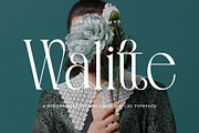 Walitte Modern Elegant Serif, a Serif Font by Alfinart (Thumbnail 1 of 10)
