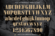 Jerome Vintage Typeface, a Serif Font by K Randall Wilcox (Thumbnail 3 of 5)