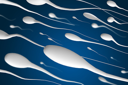3D Image of Human Sperms