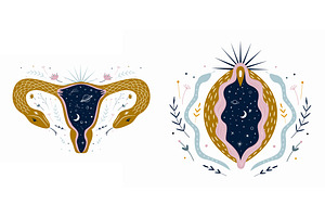 Female Reproductive System. Vagina