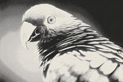 Noir Halftone Photo Effect, a Layer Style Add-On by iDoodle Studio (Thumbnail 3 of 4)