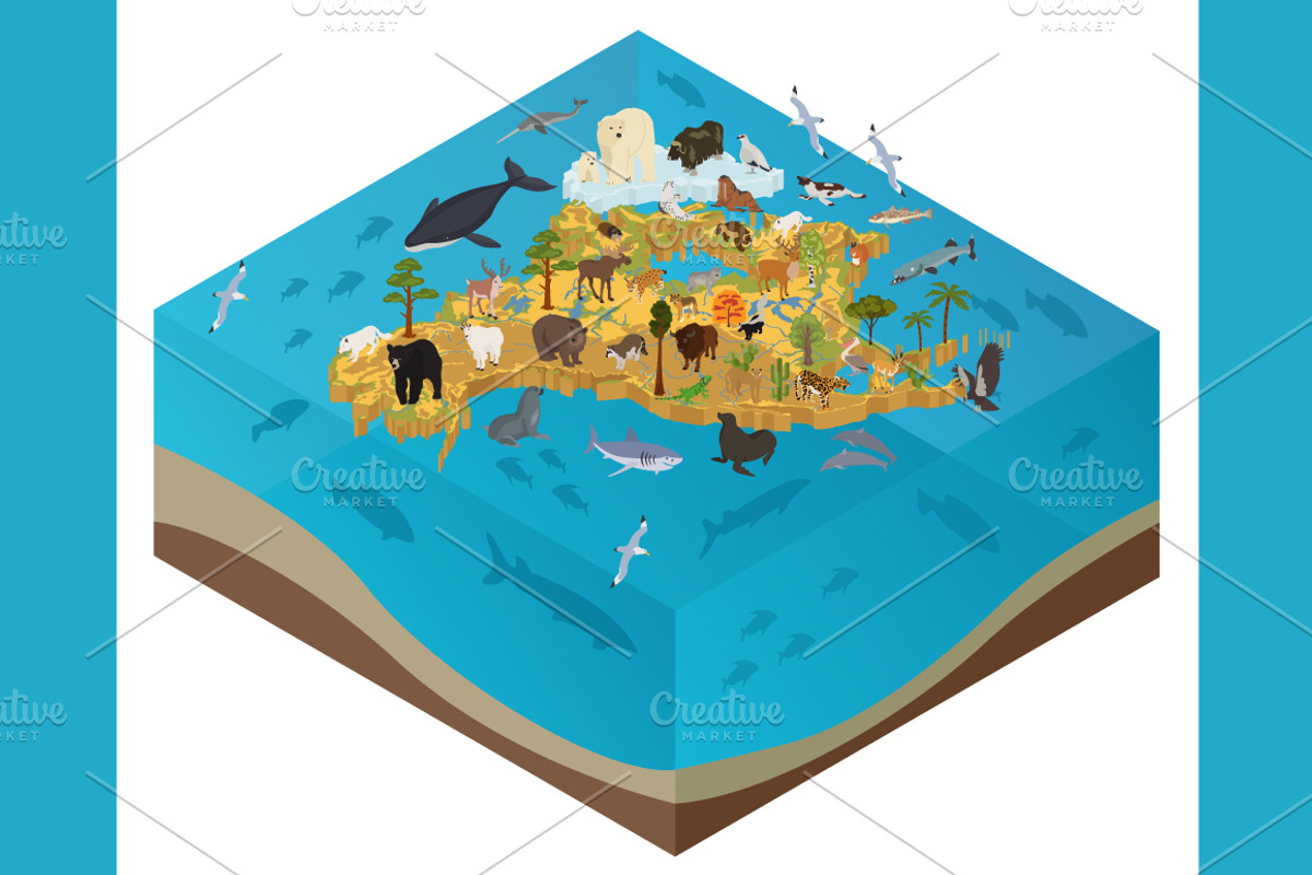 North America isometric map, an Animal Illustration by pet design shop (Photo 4 of 5)