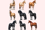 Horse Clipart PNG Bundle, a Graphic by M9 Design (Thumbnail 6 of 11)
